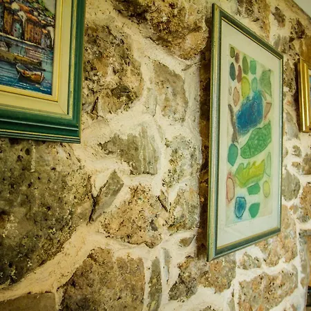 Vila Virida Villa *