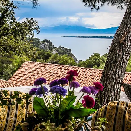 Vila Virida فيلة Živogošće