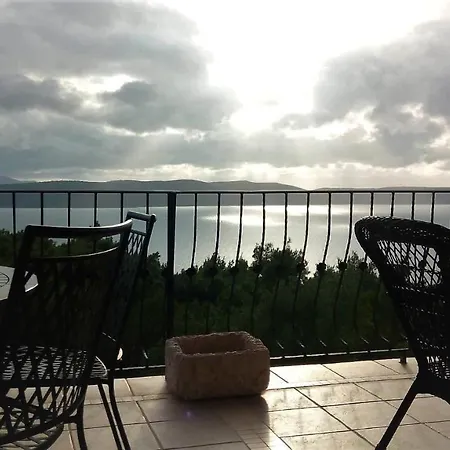 فيلة Vila Virida *